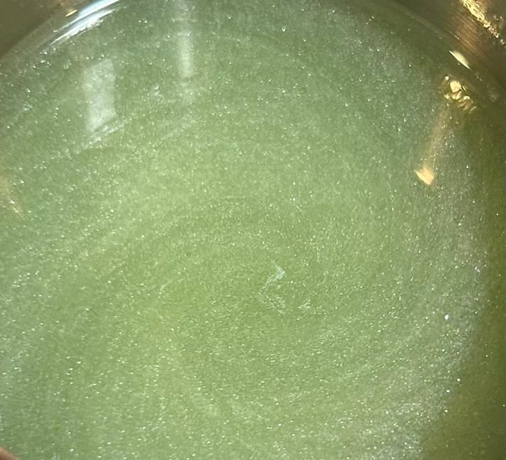 Cucumber Shimmering Luxury Wax Melts 3.5oz