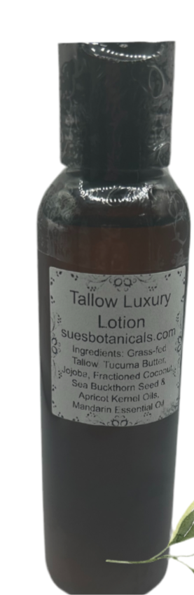 Mandarin Tallow Luxury Lotion

All Natural skincare, extra hydration, organic skincare , moisturizer, Natural skincare, skin hydration, helps rosacea, helps acne, reduces wrinkles, reduces fine lines, organic skincare, Beef Tallow Skincare