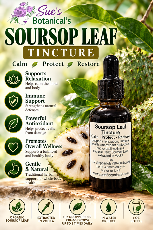 Soursop leaf tincture 

All Natural skincare, extra hydration, organic skincare , moisturizer, All Natural skincare, skin hydration, helps rosacea, helps acne, reduces wrinkles, helps psoriasis, reduces fine lines, organic skincare, Beef Tallow Skincare